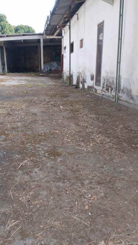 dijual ruko gudang kantor jalan raya prigen