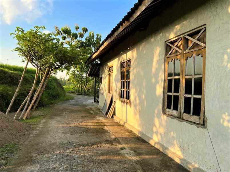 dijual rumah asri tengah sawah kedawung sragen