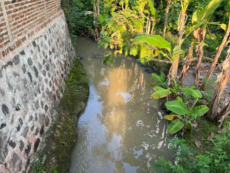 dijual rumah asri tengah sawah kedawung sragen