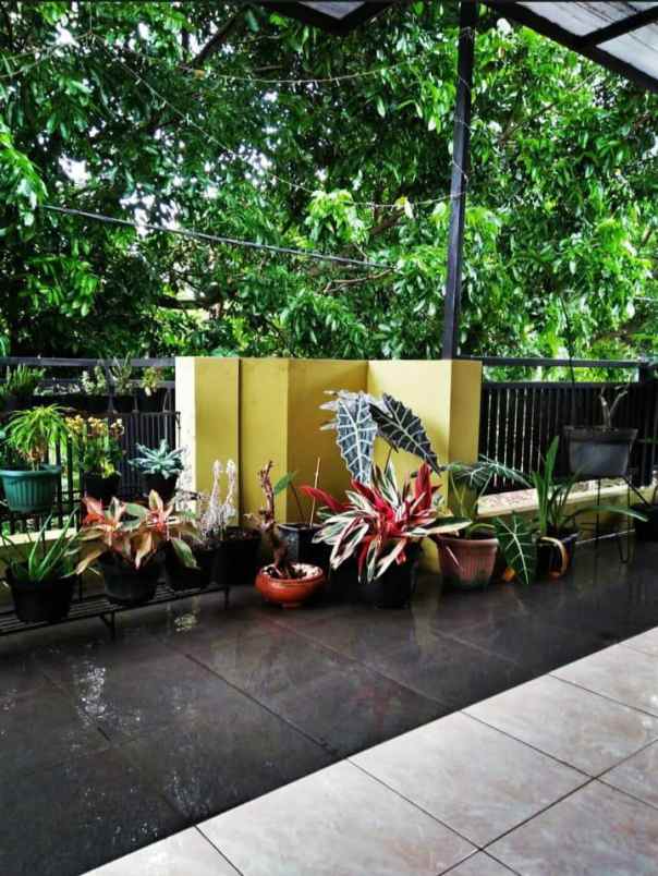 dijual rumah jalan kamarung