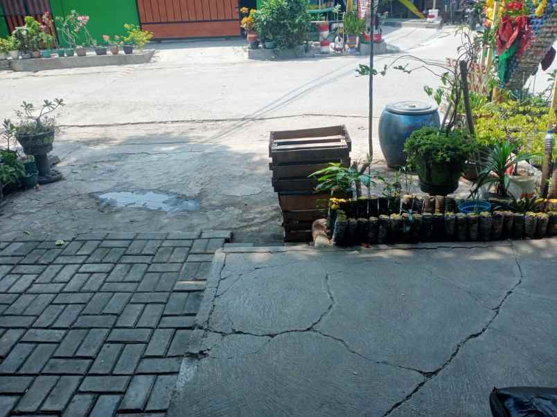 dijual rumah jl gladiol raya