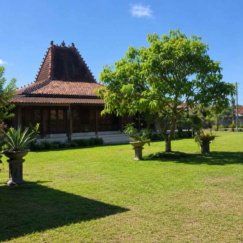 dijual rumah joglo asri tanah cisauk tangerang banten