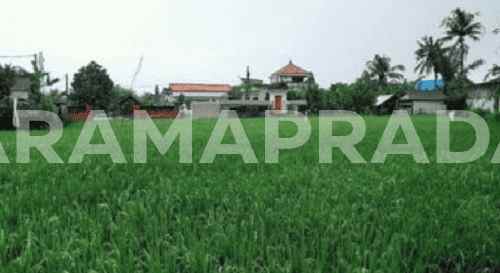 dijual rumah pemaron munggu