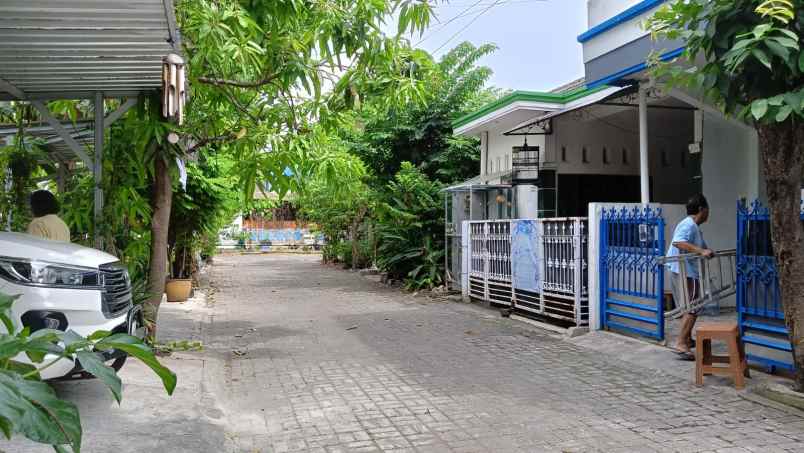 dijual rumah plamongan indah