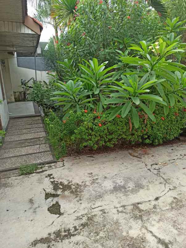 dijual rumah rungkut