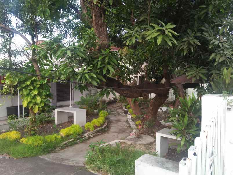 dijual rumah tepi jalan besar pasuruan kota