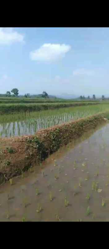 dijual tanah blok japar