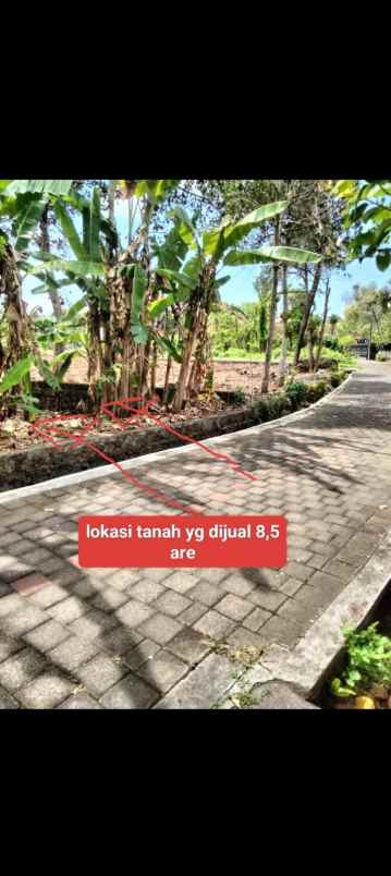 dijual tanah br batugaing ds beraban
