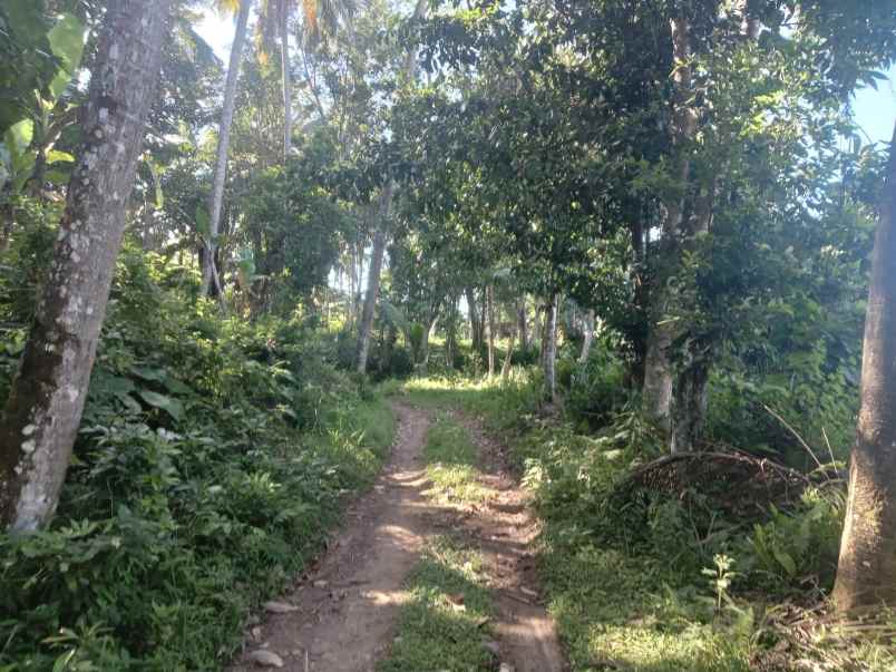 dijual tanah bukit catu manggis