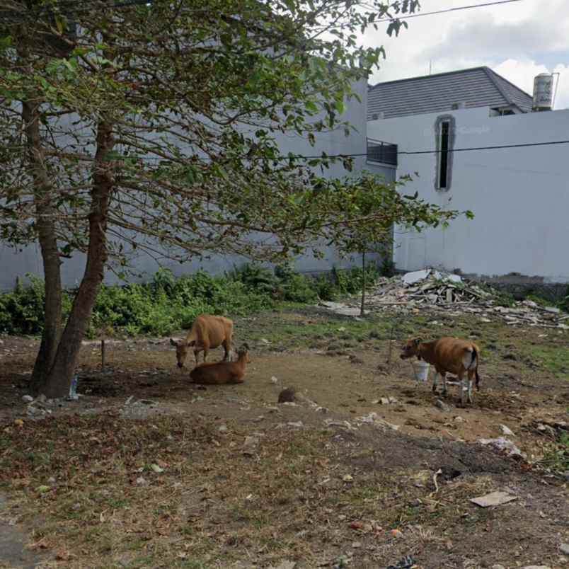 dijual tanah bumbak umalas