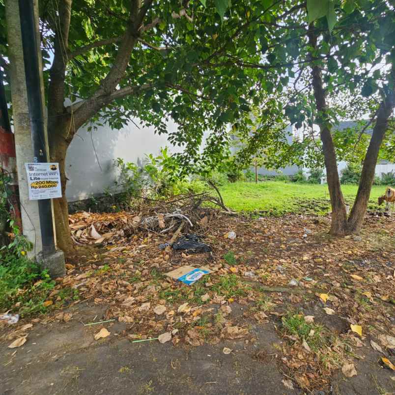 dijual tanah bumbak umalas