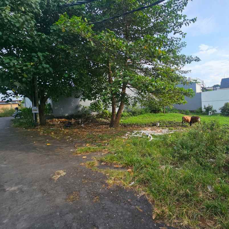 dijual tanah bumbak umalas