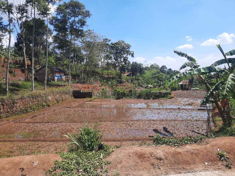 dijual tanah cijambe cilengkrang ujung