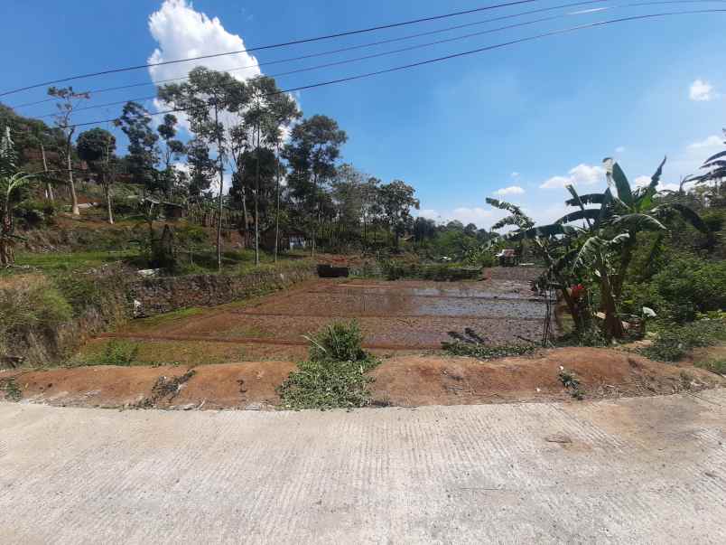 dijual tanah cijambe cilengkrang ujung