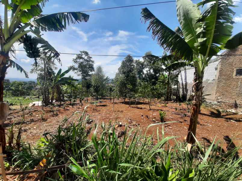 dijual tanah cijambe cilengkrang ujung