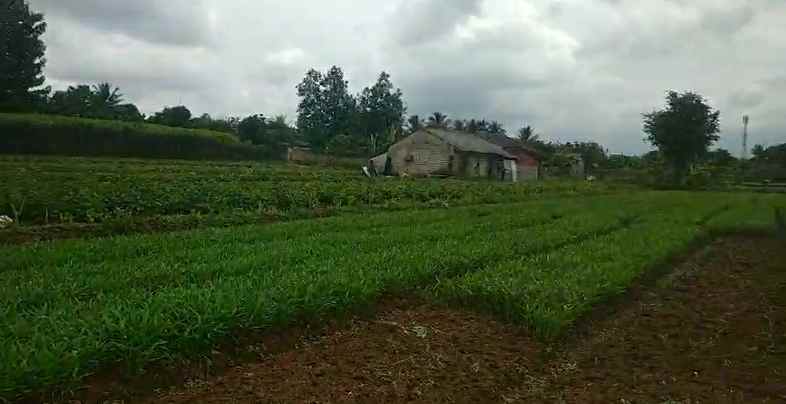 dijual tanah cimanggu 2 cibungbulan