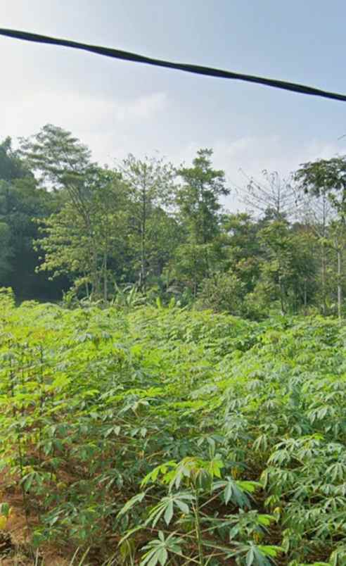 dijual tanah cimanggung