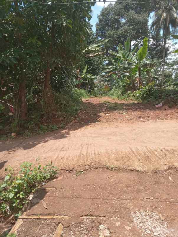 dijual tanah cisonggom