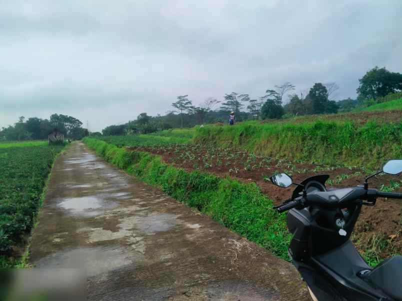 dijual tanah dekat agro wisata amanah karangpandan