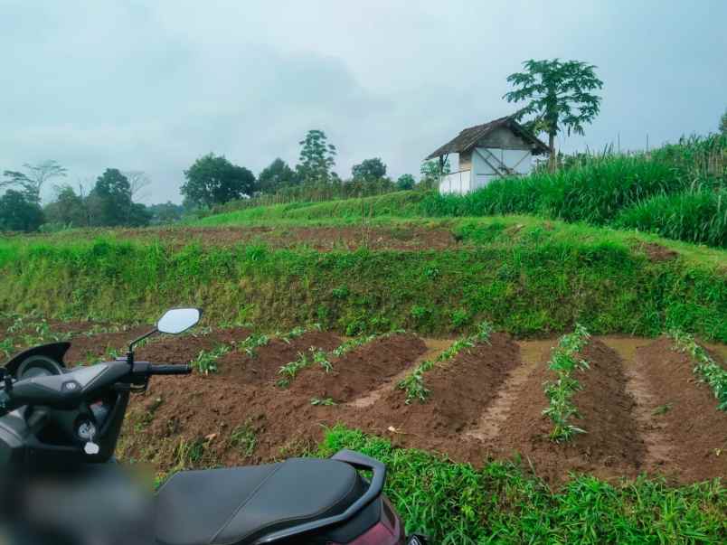 dijual tanah dekat agro wisata amanah karangpandan