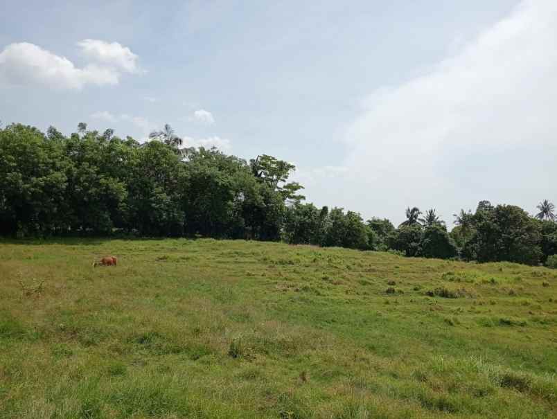 dijual tanah dengan kontur tinggi view laut lepas