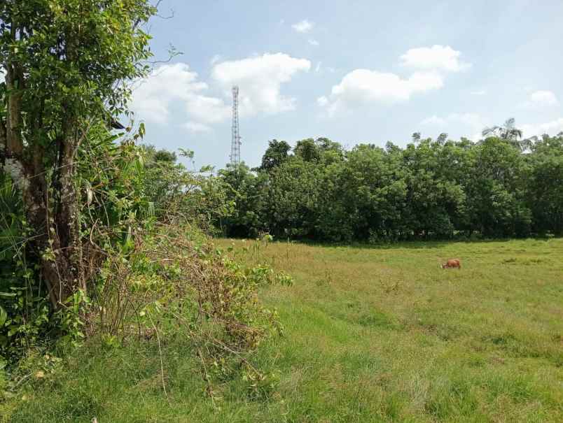 dijual tanah dengan kontur tinggi view laut lepas