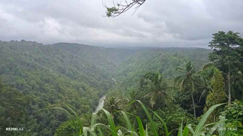 dijual tanah desa angkah selemadeg