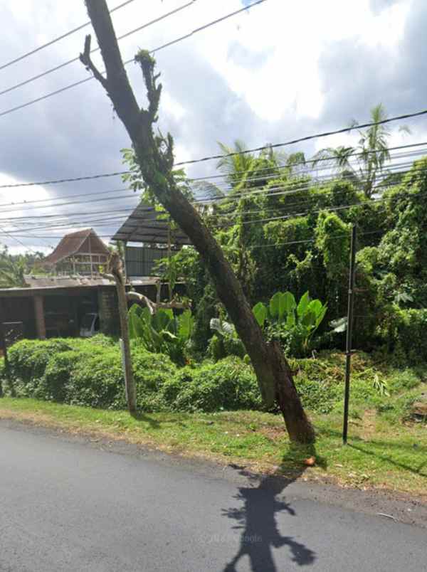 dijual tanah desa bantas kec selemadeg