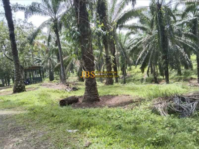 dijual tanah desa lau mulgap kec