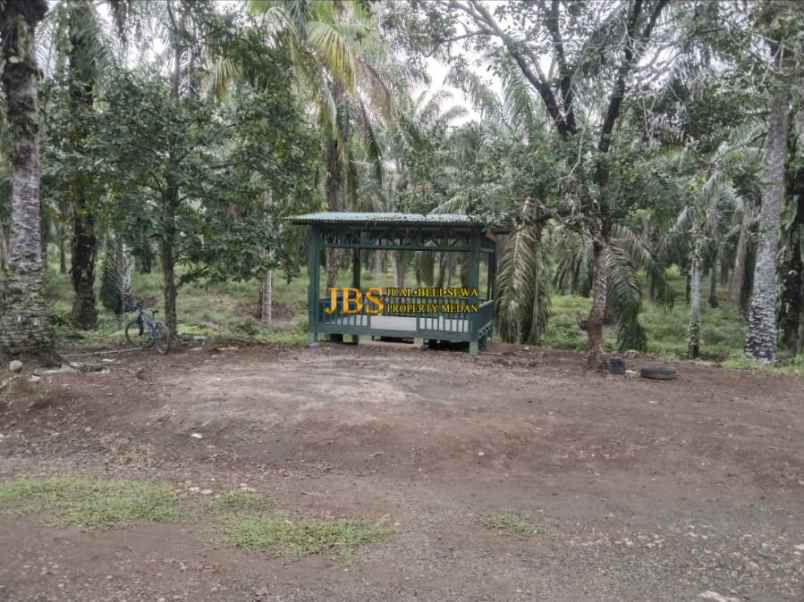 dijual tanah desa lau mulgap kec