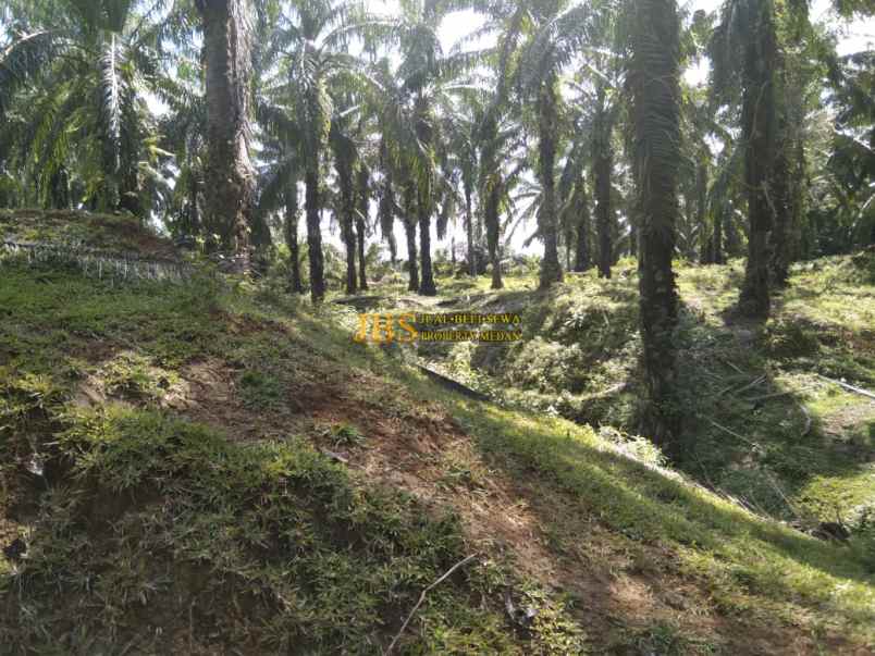 dijual tanah desa lau mulgap kec