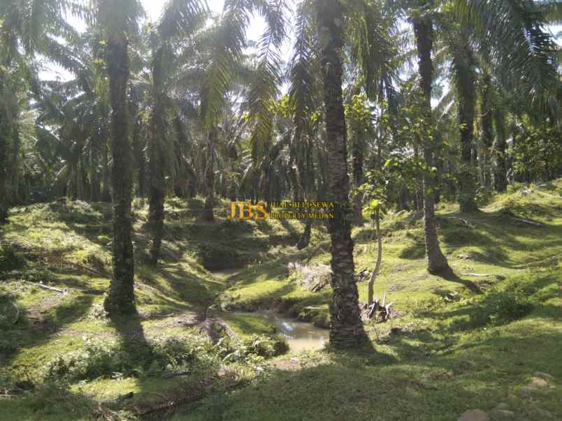 dijual tanah desa lau mulgap kec