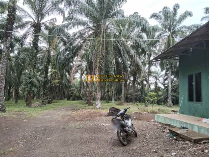 dijual tanah desa lau mulgap kec