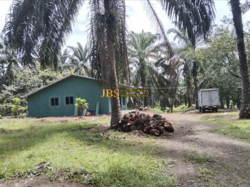 dijual tanah desa lau mulgap kec