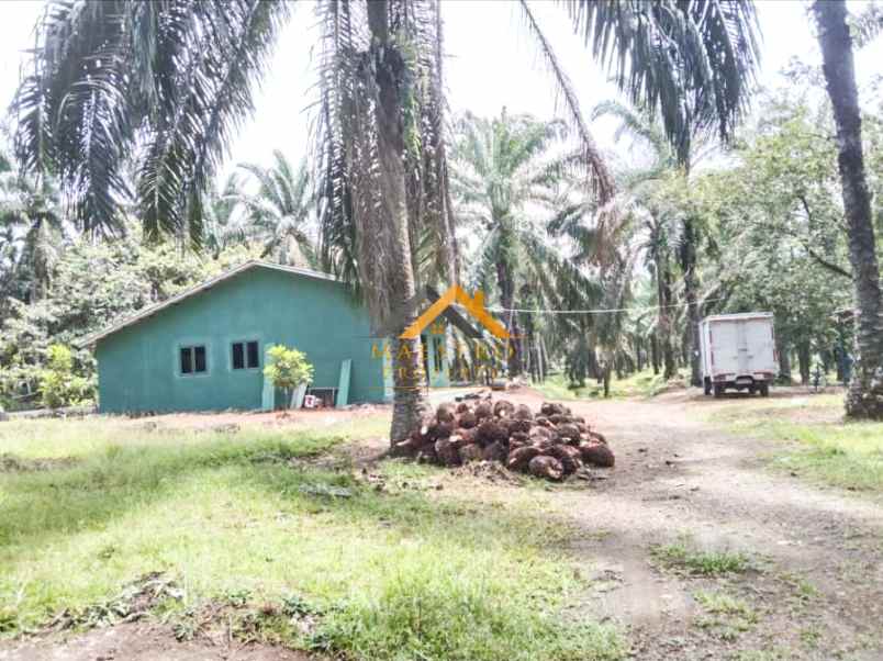 dijual tanah desa lau mulgap kec