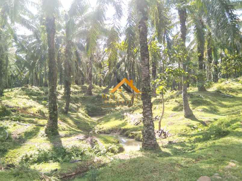 dijual tanah desa lau mulgap kec