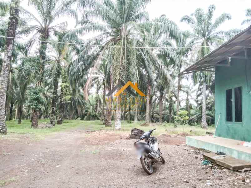 dijual tanah desa lau mulgap kec