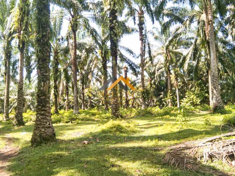 dijual tanah desa lau mulgap kec