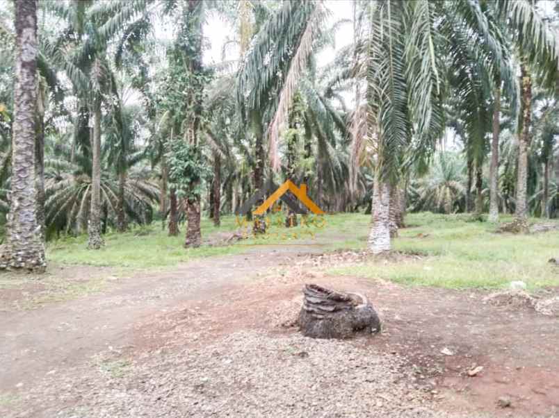 dijual tanah desa lau mulgap kec