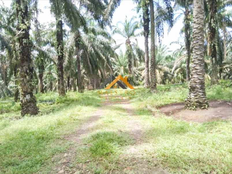 dijual tanah desa lau mulgap kec