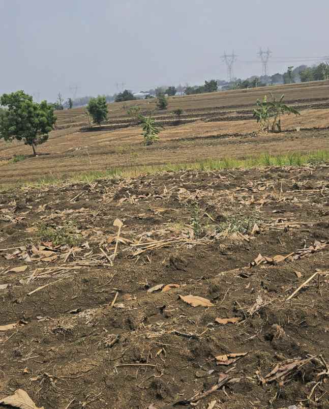 dijual tanah desa slempit kec kedamean