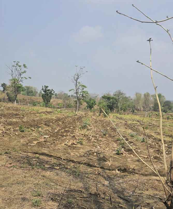 dijual tanah desa slempit kec kedamean
