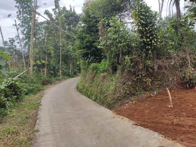 dijual tanah di desa cibalung cijeruk kab bogor