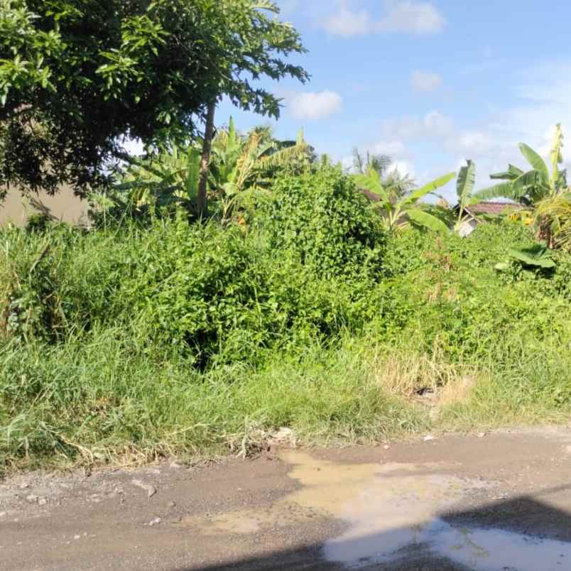 dijual tanah gandamayu pemaron