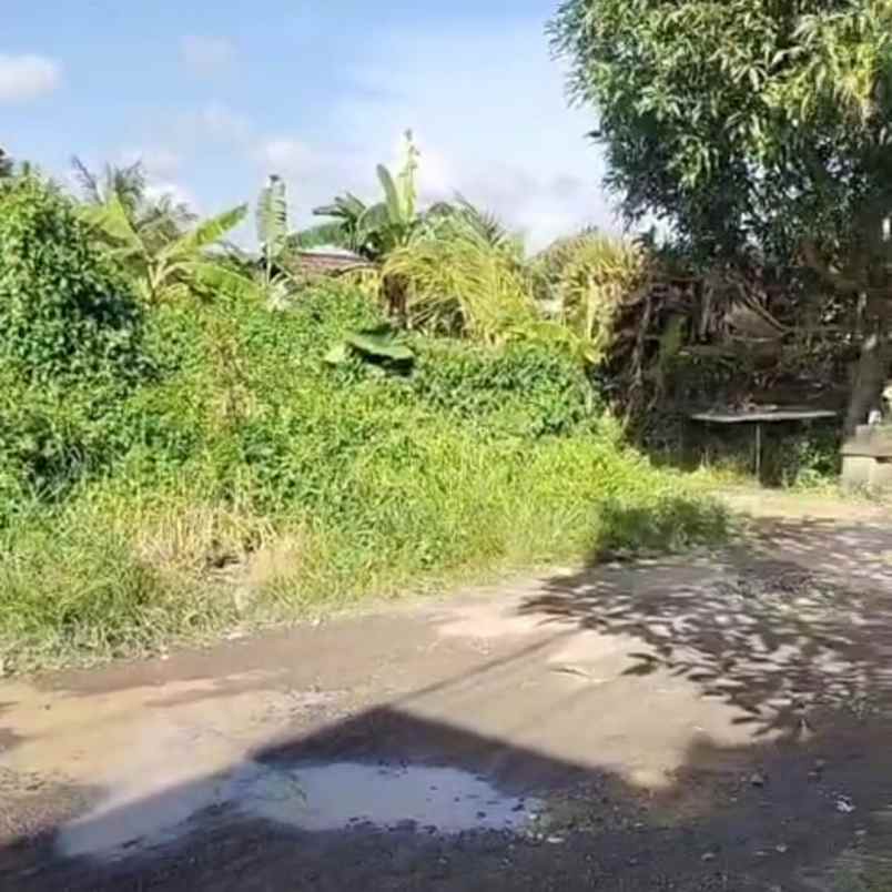 dijual tanah gandamayu pemaron