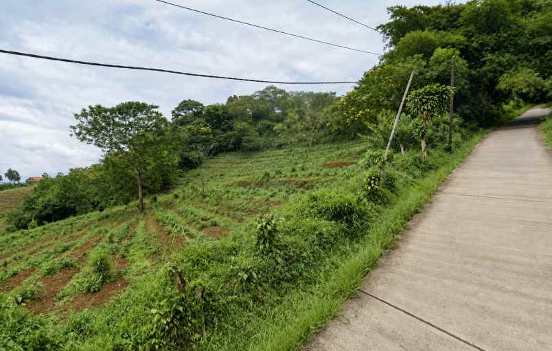 dijual tanah gunung geulis megamendung