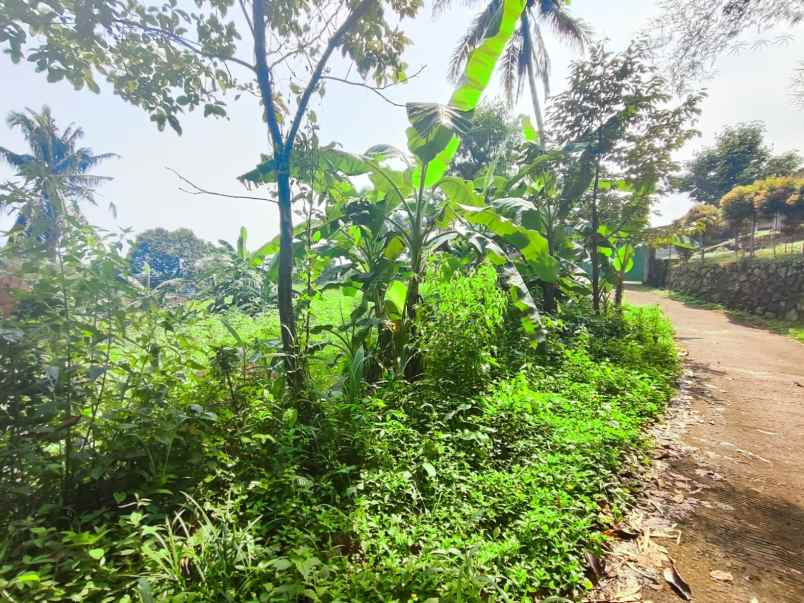 dijual tanah gunung geulis sukaraja