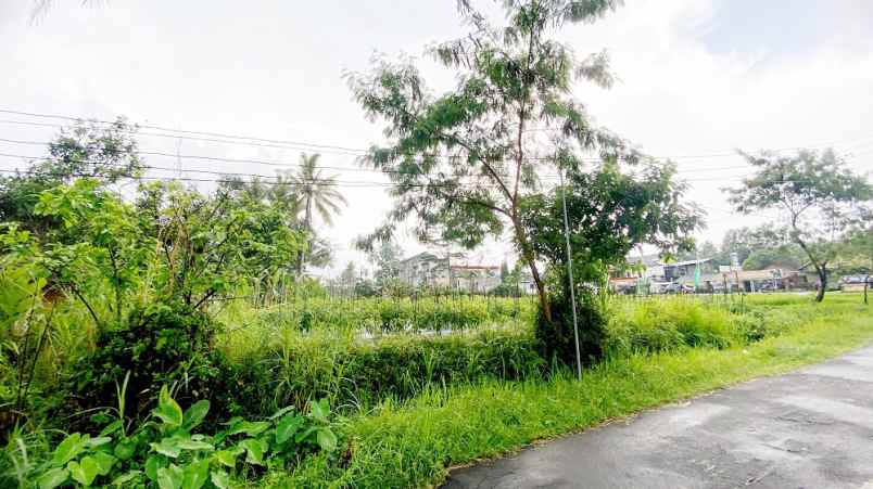 dijual tanah harjobinangun kec pakem