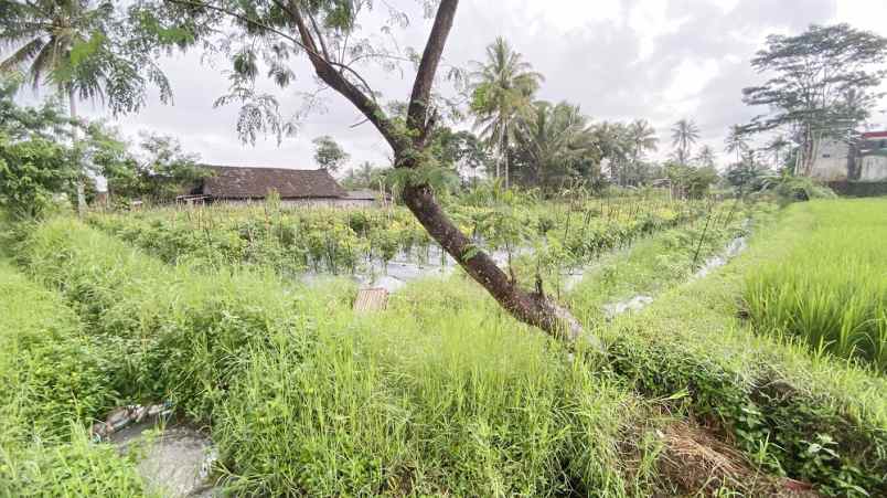 dijual tanah harjobinangun kec pakem