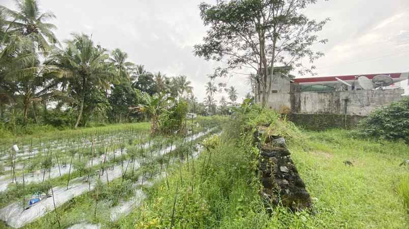 dijual tanah harjobinangun kec pakem